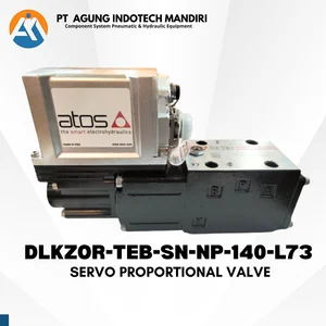 ATOS DLKZOR-TEB-SN-NP-140-L73 11 / E-RI-TEB-N-NP-01H 11 SERVO PROPORTIONAL VALVE