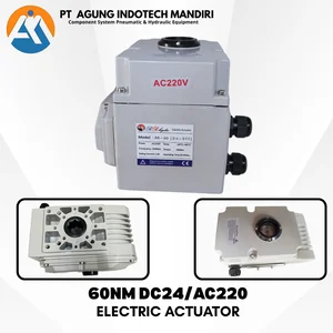 ELECTRIC ACTUATOR  60NM VOLTG AC220 DC24V