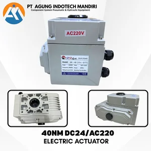 ELECTRIC ACTUATOR 40NM VOLTG AC220 DC24V