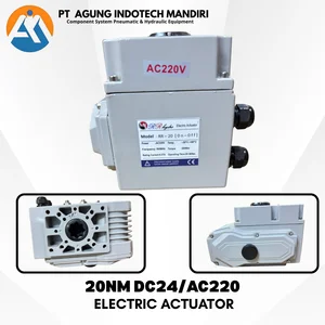 ELECTRIC ACTUATOR 20NM VOLTG AC220 DC24V