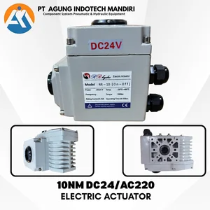 ELECTRIC ACTUATOR 10NM VOLTG AC220 DC24V
