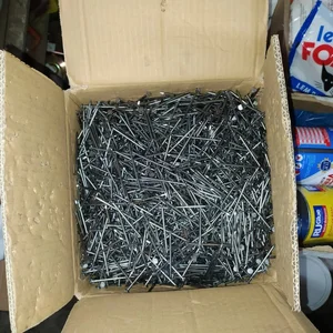 Paku Biasa Bangunan Tidak Memiliki Tipe Atau Kategori
