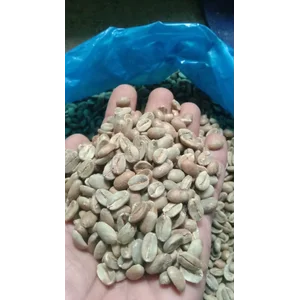 Biji Kopi Speciality Flores Juria Colol