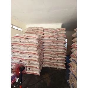 Kemiri bulat pecah utuh | Nusa Bunga Agro