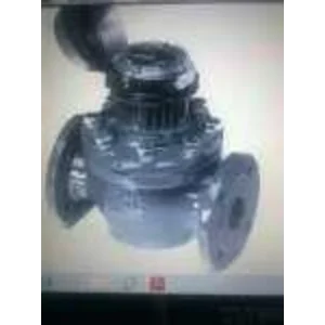 Census Water Meters