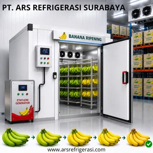 Banana Ripening Sistem Storage bertekanan pematang pisang modern - Cold Storage