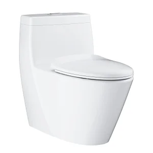 Seated Closet Floor Standing 1 Piece Toilet Grohe GR-39316000