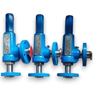 Pressure Safety Valve Crosby ¾ in x 1 in Flange