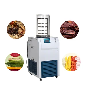 Multifunction Laboratory Drying Equipment Vacuum Freeze Dryer Machine Manufacturers