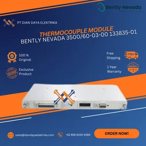 Thermocouple Module - Bently Nevada - 3500/60-03-00     133835-01