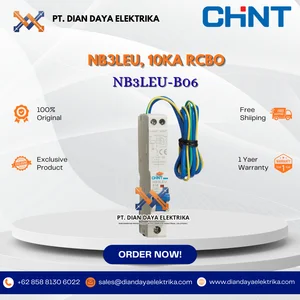 CHINT NB3LEU 10KA RCBO - NB3LEU-B06