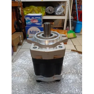 Hydraulic Gear Pump SGP 2A-48-D2H1-L