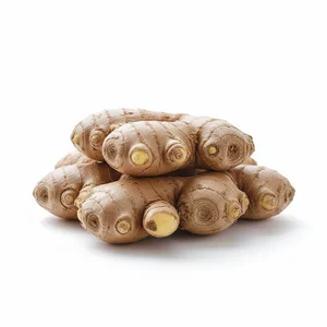 Rempah Jahe Segar per-Rimpang 250–500g