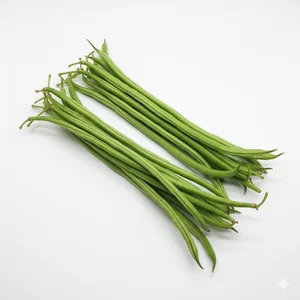 Sayuran Kacang Panjang Panjang 25–30 cm
