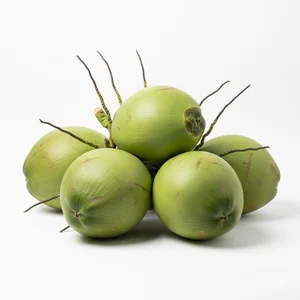Hasil Perkebunan Kelapa Butir 1.0 – 1.7 kg