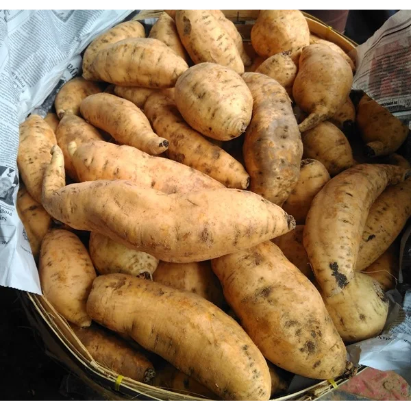 Ubi Madu Cilembu Asli 1kg