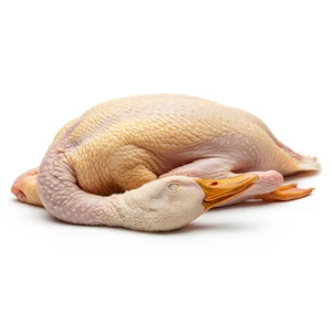 Bebek Utuh Segar / Ready size 1 Kg