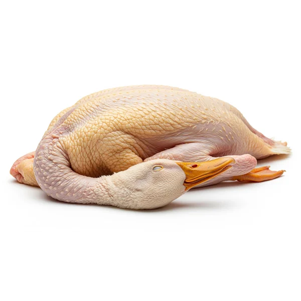 Bebek Utuh Segar / Ready size 1.2 Kg