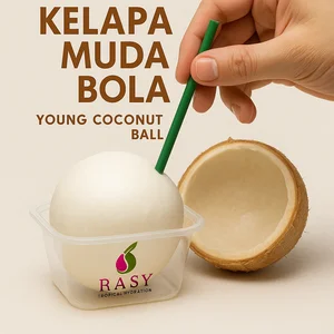 Kelapa Muda Bola – Premium Coconut Ball – OEM