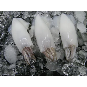 Frozen Squid Tubes & Tentacles - Tabung & Tentakel Cumi Beku