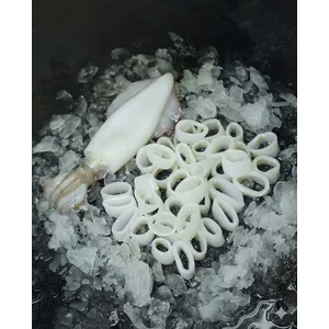 Frozen Squid Ring - Cincin Cumi Beku