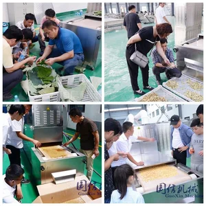 Mesin Pengering Microwave Profesional dengan Sabuk Konveyor