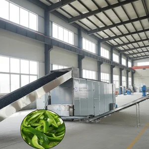 Sayuran Kontinuus Chili Mesh Sabuk Pengering Makanan Mesin