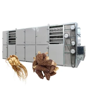 Ginseng Jamur Morel Jamur Morel Asli Sabuk Jaring Peralatan Pengering Makanan