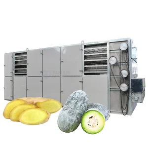 Mesin Pengering Makanan Sabuk Jaring Jahe