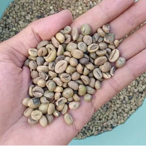 Biji Kopi Robusta Sumatera Utara Asalan Grade Export