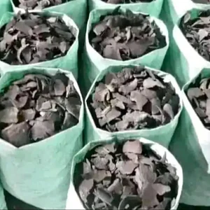 Arang Batok Kelapa Sumatera Utara Grade Export