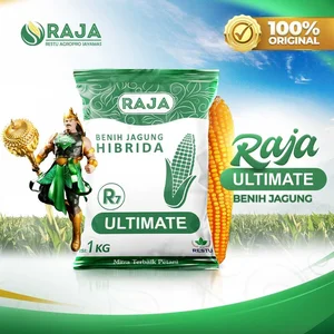 Raja R7 Ultimate Hybrid Corn Seeds