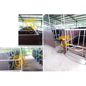 Kandang Pedet  / Hewan  Anak Sapi Ternak Galvanis / Dinding PVC / Alat Peternakan