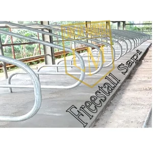 Free Stall Barn / Galvanized Cattle Box / Cattle Barrier / Livestock Equipment