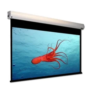 Screen / Layar Proyektor Manual Brite Tipe MAS-2121 Ukuran 213x213 cm