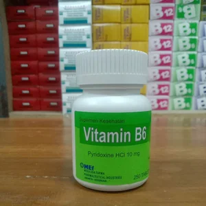 VITAMIN B6 10 POT ( PT.NOPARINDO)