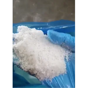 Desiccated Coconut Organik (100% Murni)