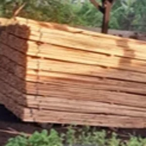 Balok Kayu Kaso 4/6 4 Meter / Putih Krem