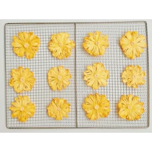 Irisan Buah Nanas Kering 100 Gram