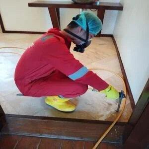 Layanan Jasa Anti Rayap untuk Furnitur