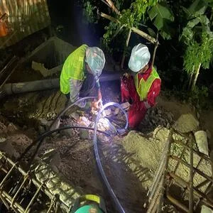 Layanan Jasa Anti Rayap untuk Tanah
