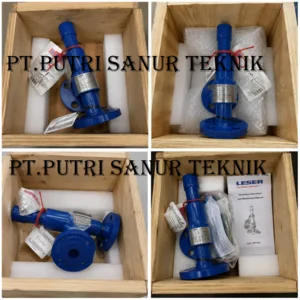 LESER Pressure Safety Valve (PSV)