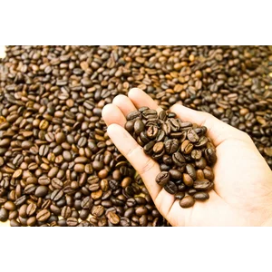 Biji Kopi Arabika Ijen - Grade 1