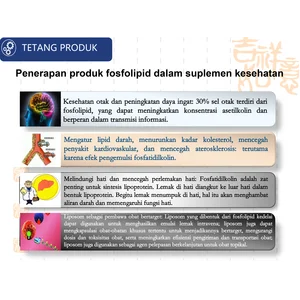 Emulsifier Pengemulsi penstabil makanan Lesitin Kedelai Lesitin Bunga Matahari Non-GMO Lesitin cair standard pangan