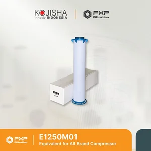 Nano Purification E1250M01 Element Filter for NF1250M01 Replacement