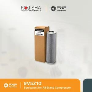 Schroeder 9V5Z10 Element Filter Replacement