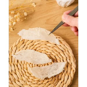 Sarang Walet Patahan Lempeng (Flat Shape)