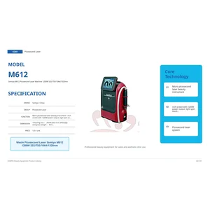 Mesin Picosecond Laser Somiya M612 1200W 532/755/1064/1320nm
