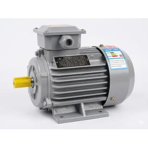 Rigong Dinamo 3 Phase  YE3-80M2-4 - 0.75KW    1HP   1500 UMKM dan Industri