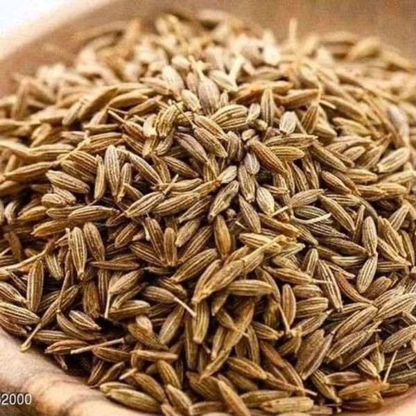 Biji Jintan India Bahan Rempah 25 Kg